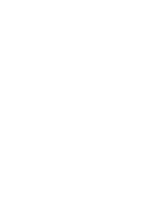 DNA LUCI DNA LUCI